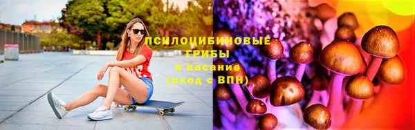 spice Ельня