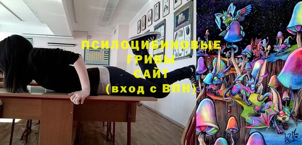 spice Ельня