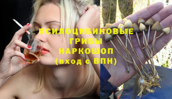 мескалин Елабуга