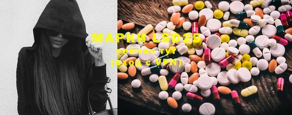 spice Ельня